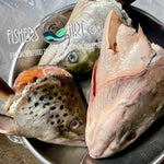 Salmon Head (~750-900 grams)