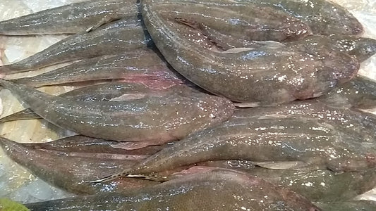 Fresh Sunog (~1kg)