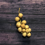 Fresh Duco Lanzones (~1kg)