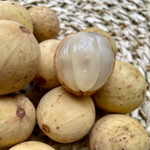 Fresh Duco Lanzones (~1kg)