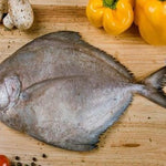 Fresh Black Pampano (~1kg)