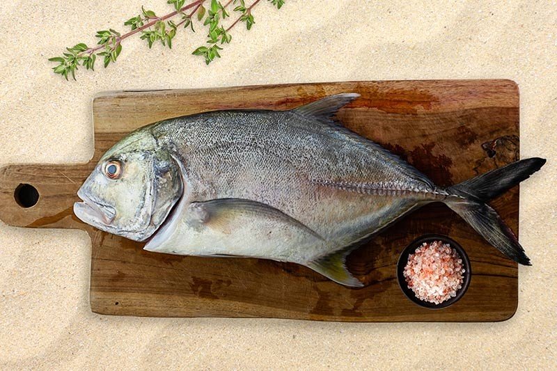 Fresh Talakitok (~1kg)