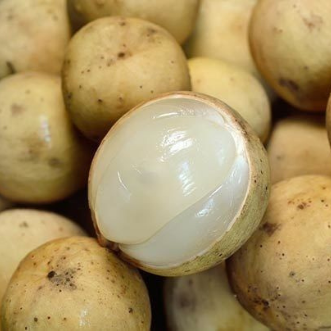 Fresh Longkong Lanzones (1kg) Fisherscart Seafood Store