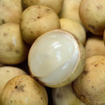 Fresh Longkong Lanzones (~1kg)