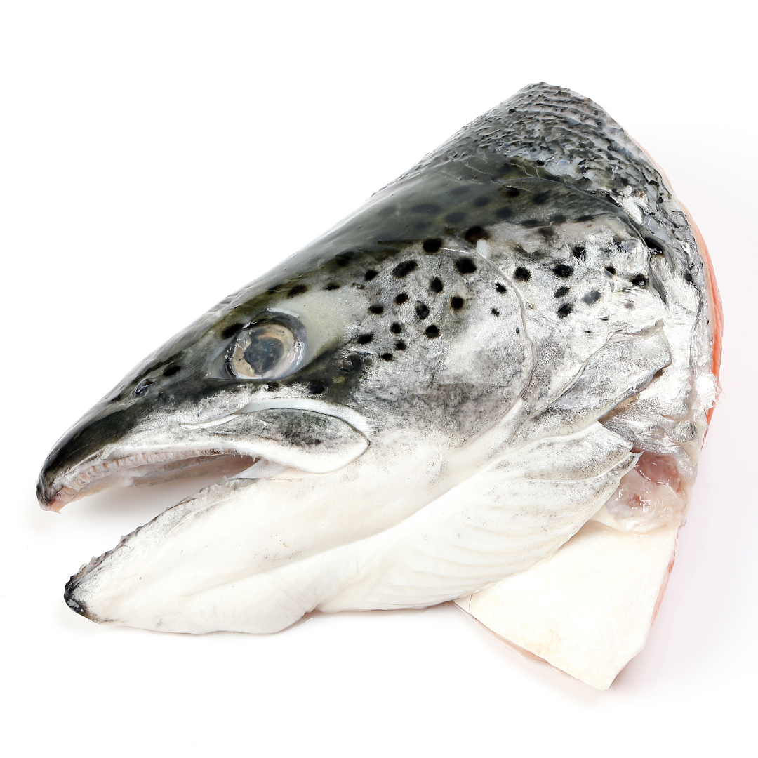 Salmon Head (900g 1kg) Fisherscart Seafood Store