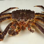 Alaskan King Crab (~2.0-4.5kg per piece)