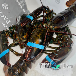 Fresh Boston Lobster (~1kg: 1-2 pcs)