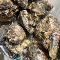Fresh Aklan Talaba (~1kg)