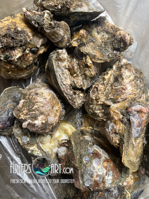 Fresh Aklan Talaba (~1kg)