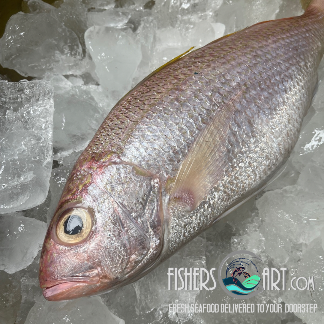 Bulohan Fish Fresh Biluan (~1kg) – Fisherscart Seafood Store