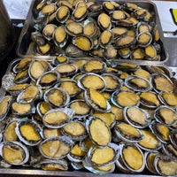 Fresh Korean Abalone (~1kg; 4-8pcs big size)