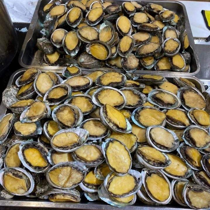 Fresh Korean Abalone (~1kg; 4-8pcs big size)