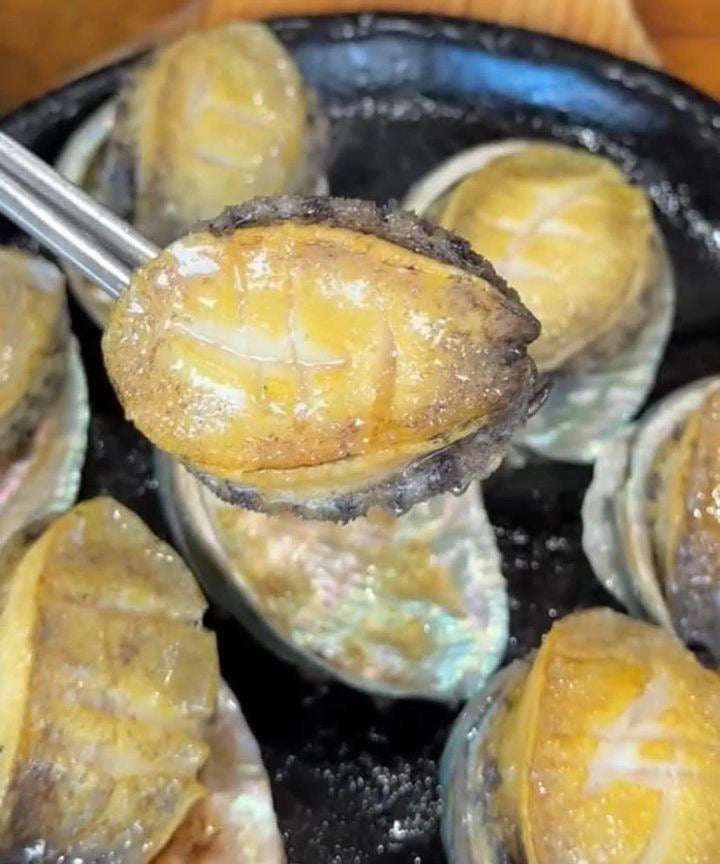 Fresh Korean Abalone (~1kg)