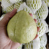 Fresh Taiwan Guava White (~1kg)
