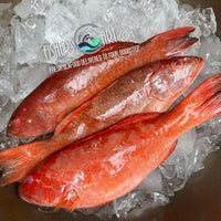 Lapu-Lapu (~1kg)
