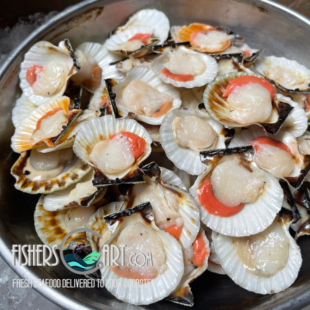 Fresh Half-Shell Scallops (~1kg)