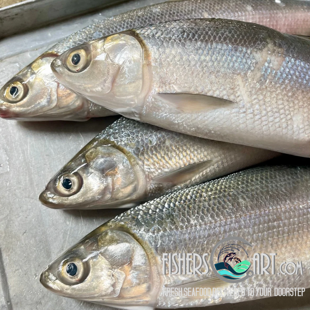 Fresh Bangus (~1kg)