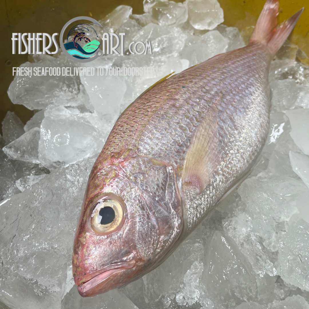 Bulohan Fish Fresh Biluan (~1kg) – Fisherscart Seafood Store