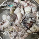 Fresh Octopus (~1kg)