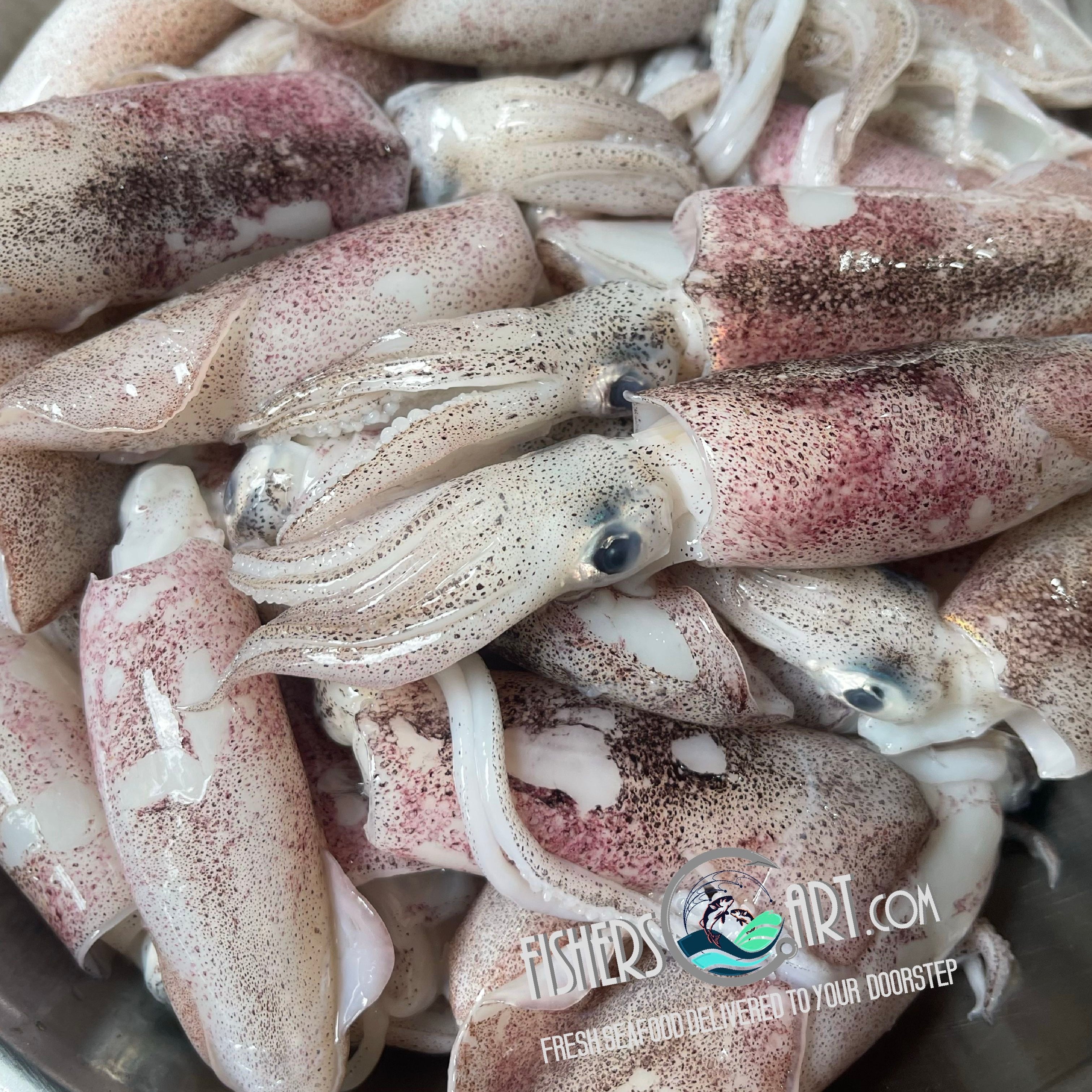 Fresh Pusit Native