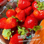 Fresh Korean Premium Strawberry Pack (~350-430g)