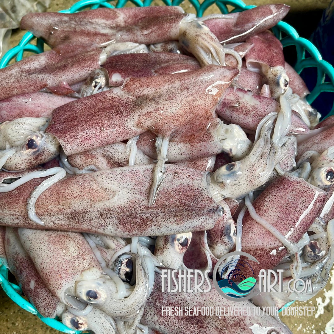 Fresh Pusit Native