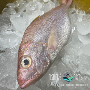 Bulohan Fish Fresh Biluan (~1kg) – Fisherscart Seafood Store