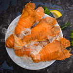 Fresh Lobster Pitik (~1kg)