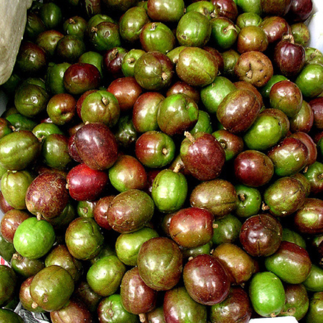 Fresh Sinigwelas (~1kg)