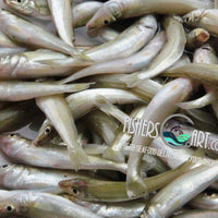 Fresh Asohos (~1kg)