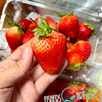 Fresh Korean Premium Strawberry Pack (~350-430g)