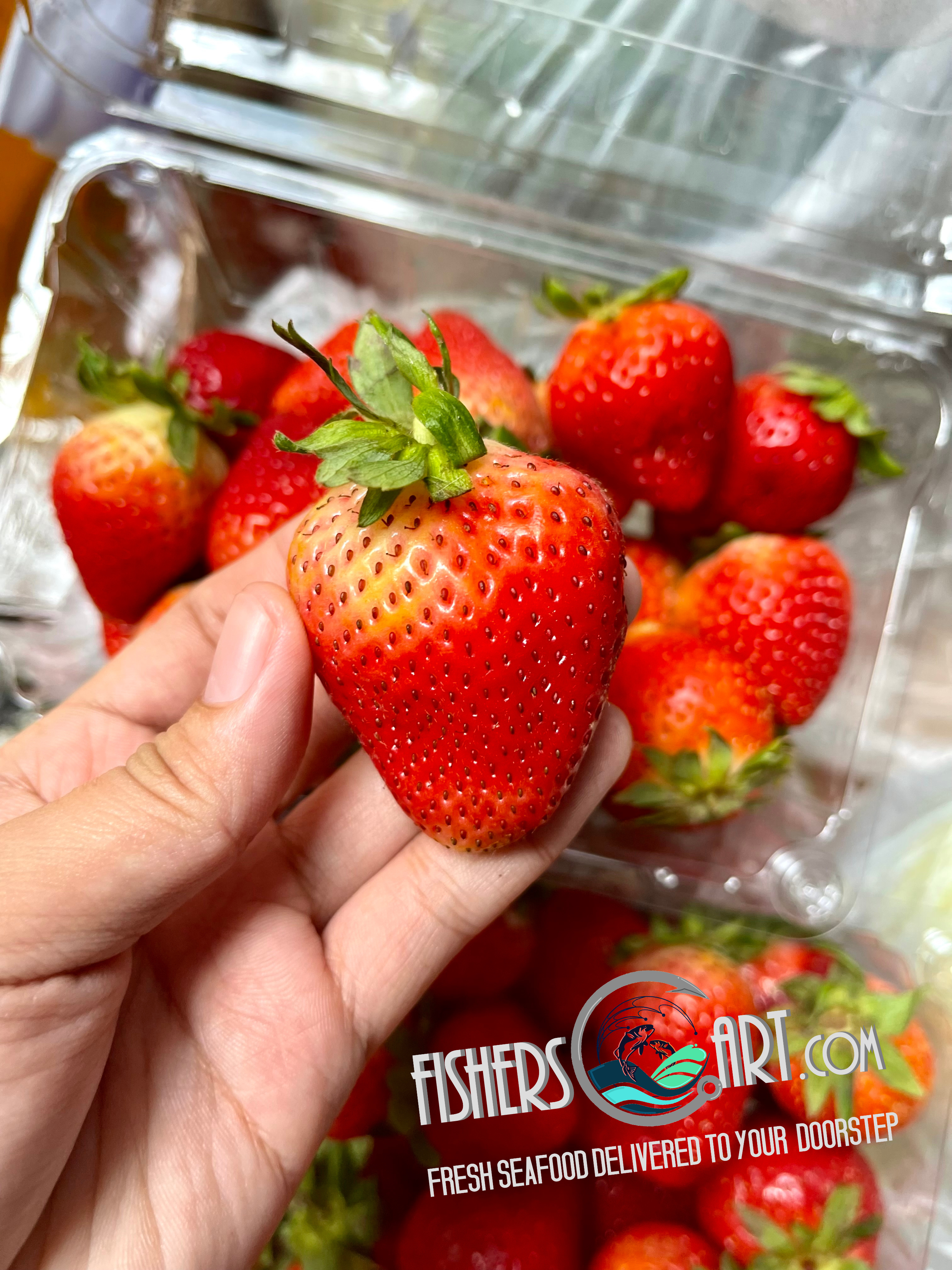 Fresh Korean Premium Strawberry Pack (~350-430g)