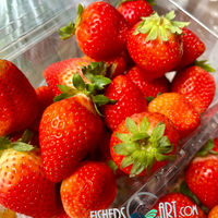 Fresh Korean Premium Strawberry Pack (~350-430g)