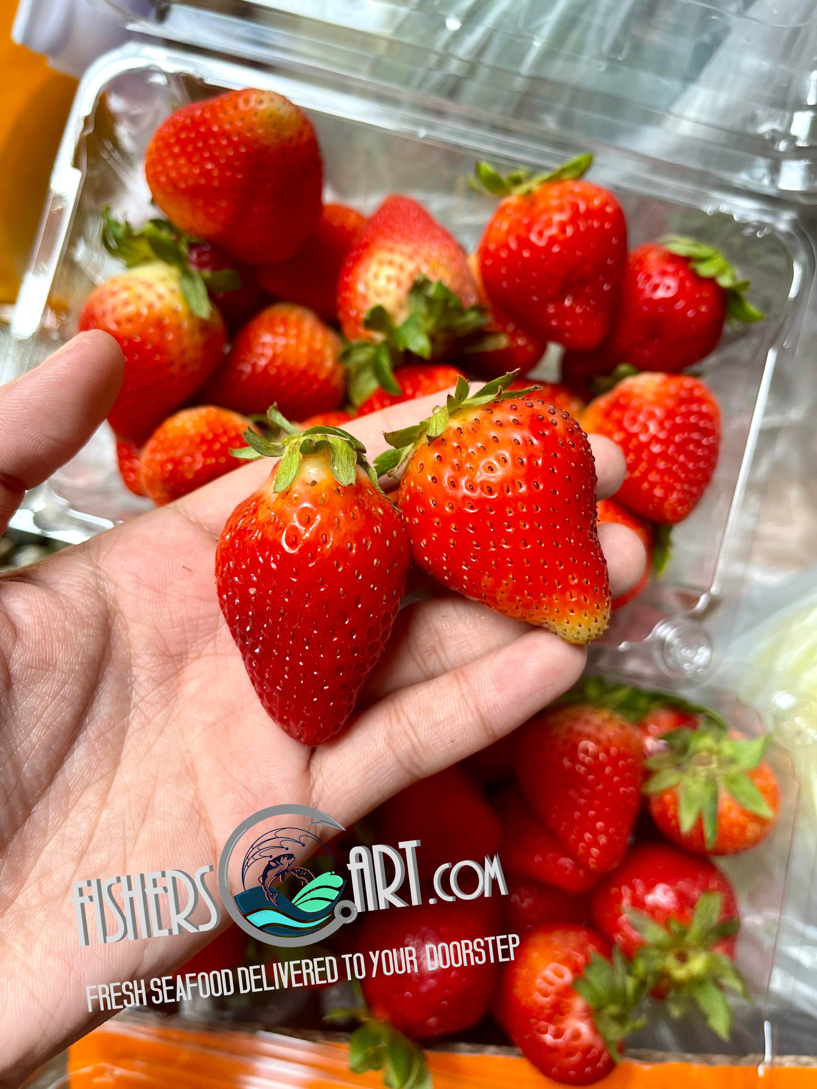 Fresh Korean Premium Strawberry Pack (~350-430g)