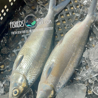 Fresh Bangus (~1kg)
