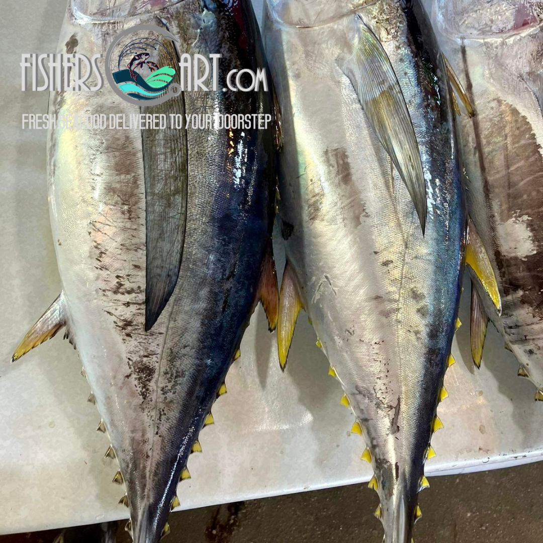 Fresh Yellowfin Tuna (~1kg)