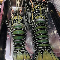 Fresh Lobster~1kg - Fishers Cart