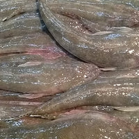 Fresh Sunog (~1kg)