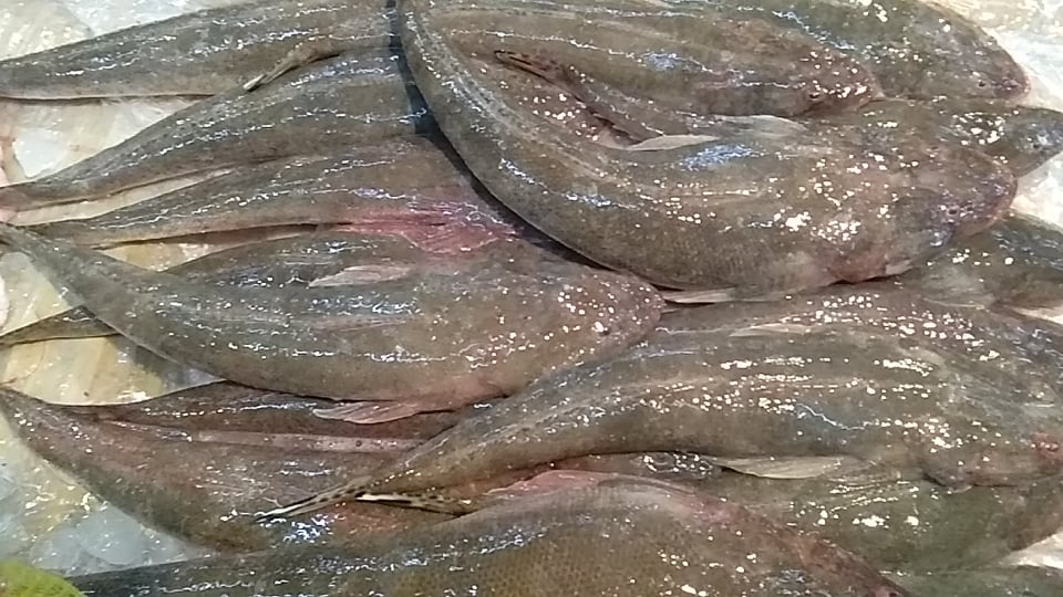 Fresh Sunog (~1kg)