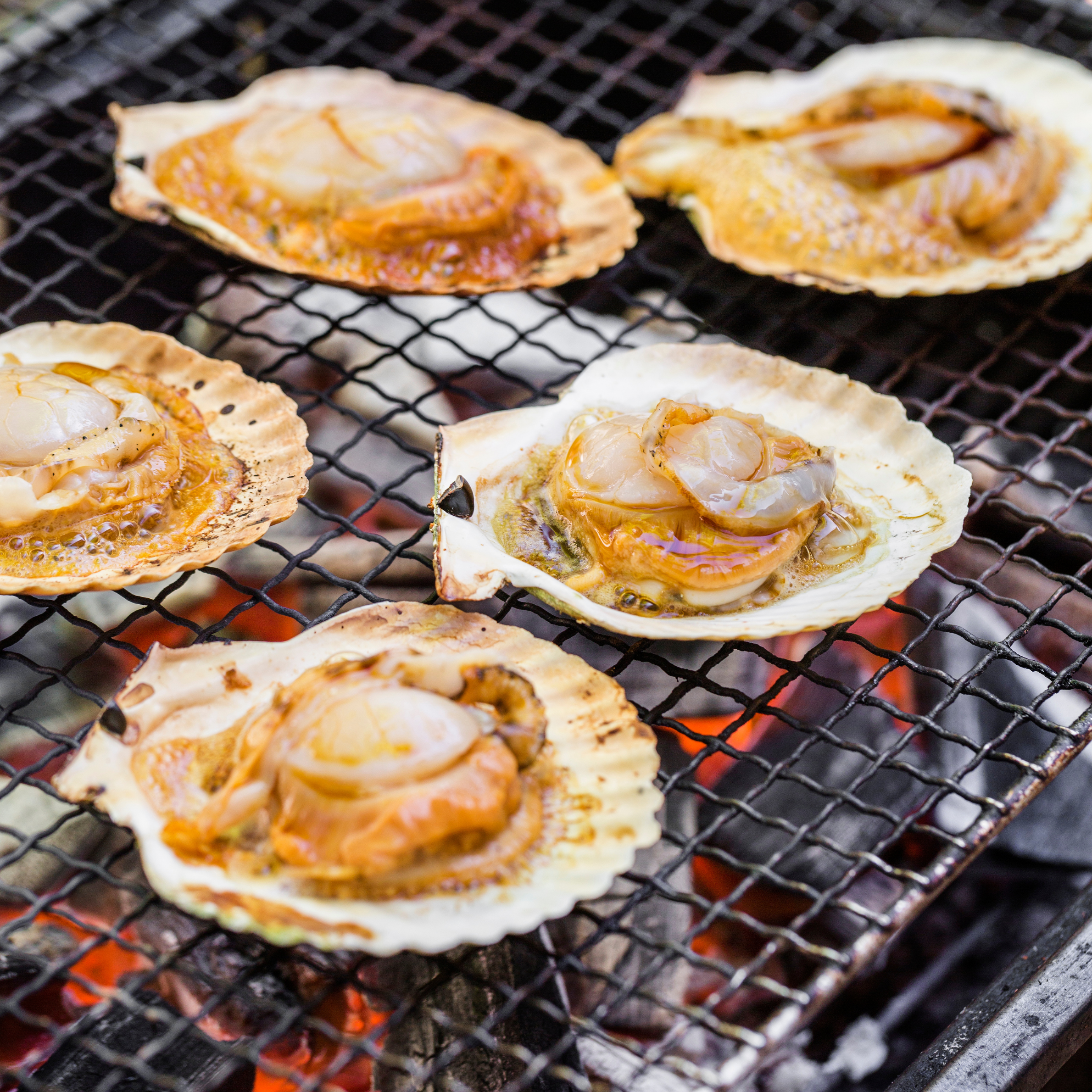 Fresh Scallops Half Shell (~1kg)