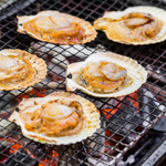 Fresh Half-Shell Scallops (~1kg)