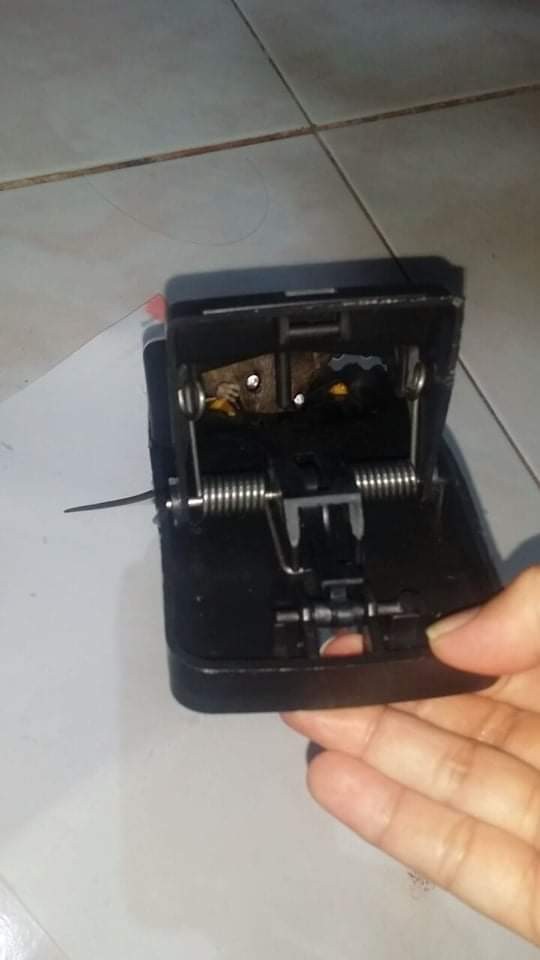 Reusable Mouse Trap-100% Capture Rate