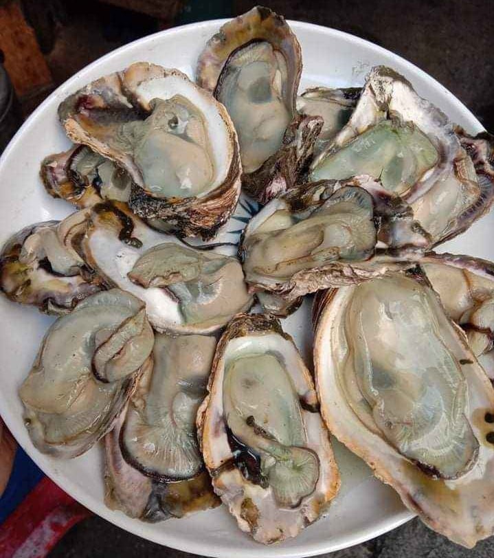 Fresh Aklan Talaba (~2kg;Orig Price 350/kg)