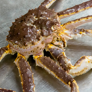 Alaskan King Crab (~2.0-4.5kg per piece) – Fisherscart Seafood Store