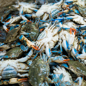 Fresh Alimasag (~1kg) – Fisherscart Seafood Store