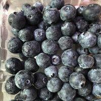 Fresh Blue Berry (1 pack)