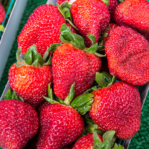 Fresh California Strawberry (~500g)