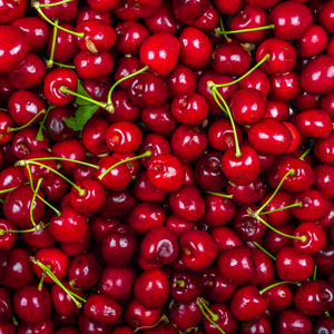 Fresh Cherries