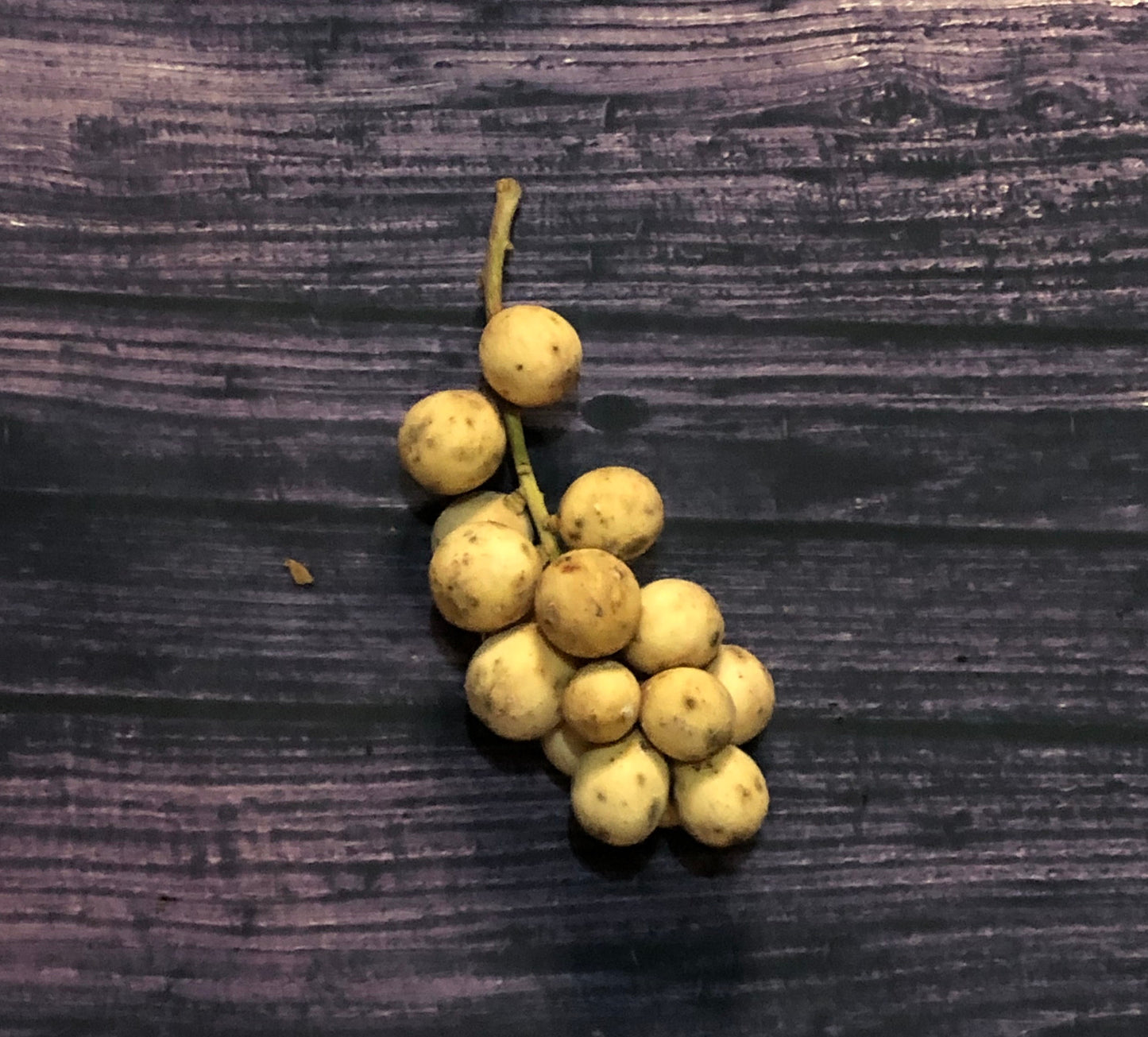 Fresh Duco Lanzones (~1kg)