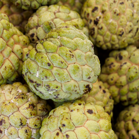 Fresh Atis (~1kg)